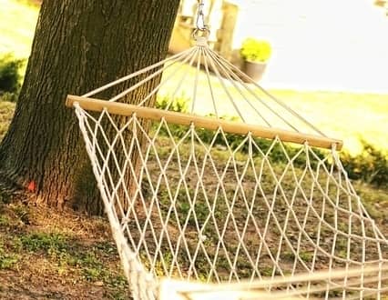 Hammock hanging between trees in garden